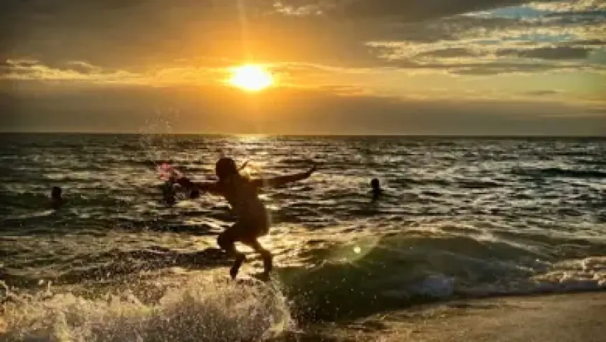 Novak Djokovic Advances to AO 2026 Semifinals as Musetti Withdraws