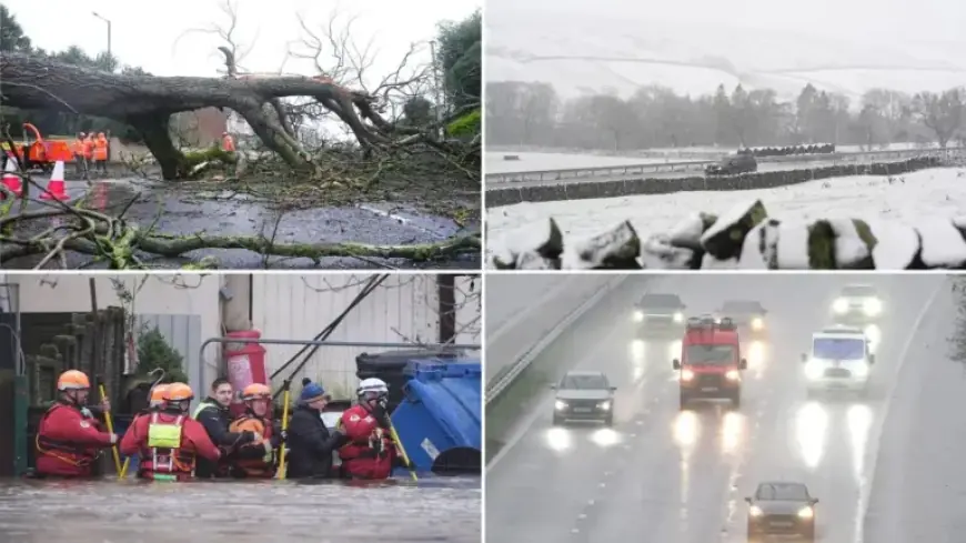 Storm Chandra Forces Rail Line Closure with Sinkhole Damage