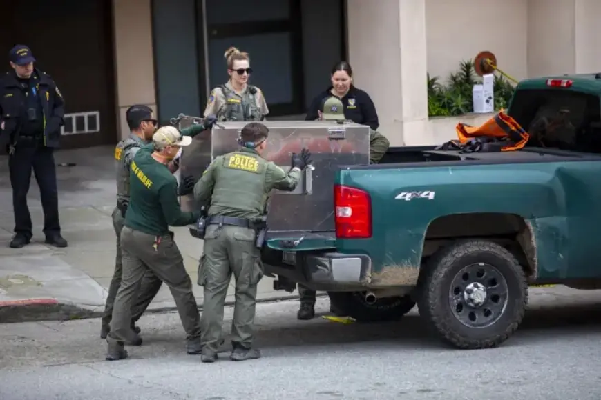 Tranquilized Mountain Lion Captured in San Francisco for Safe Relocation