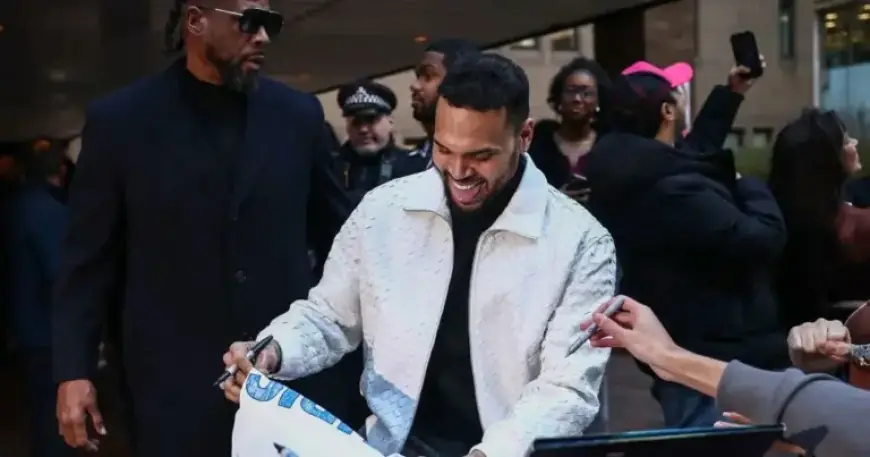 Chris Brown Faces Court Amid ‘Bottle Attack’ with Entourage Present