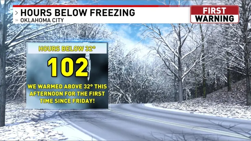 Freeze warning posted in parts of Florida as Jacksonville, Orlando, and Tampa turn chilly while Miami stays cool