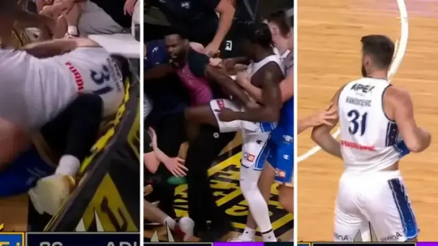 Seven NBL Players Ejected After Intense Bench-Clearing Brawl