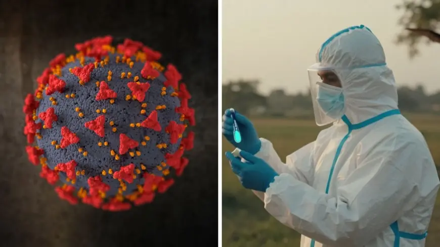 Nipah Virus Outbreak India 2026: Two West Bengal Cases Contained as Airport Screening Expands Across Asia