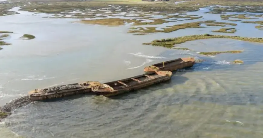National Trust Creates New Bird Haven by Sinking Three Barges
