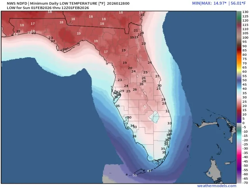 Weather Miami turns cooler as Florida braces for a breezy late-January dip