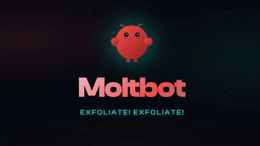 Clawdbot Rebrands as Moltbot Amid Trademark Pressure and a Growing Security Wake-Up Call for Personal AI Agents