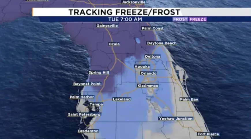 Disney World Issues Cold Weather Advisory