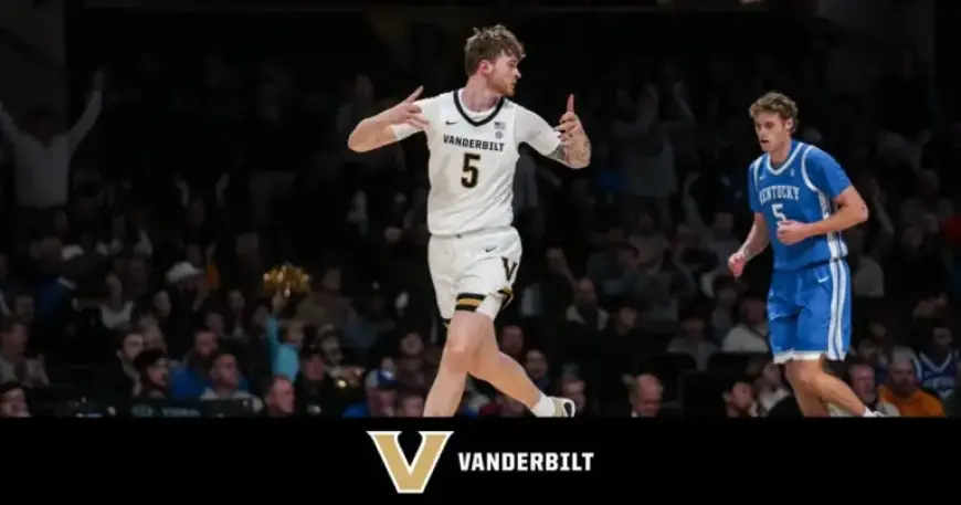 Cats Abandoned in Freezing Temperatures