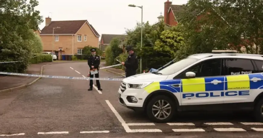 TV Show Highlights Father-Son Duo Jailed for Vigilante Killing