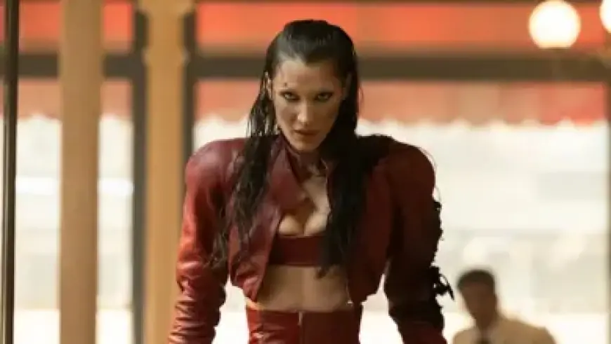 Tottenham’s Kolo Muani Safe After Pre-Champions League Car Crash