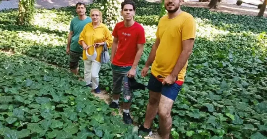 Iran’s Protest Crackdown: Five Stories of the Fallen