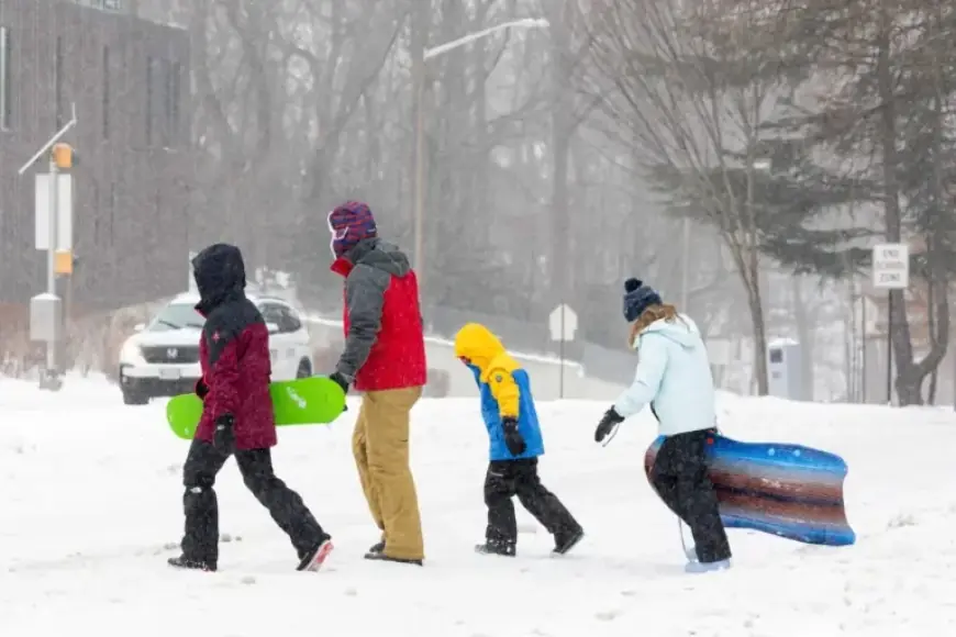 Snowstorm Transforms Arlington into a Winter Wonderland with Scenic Views