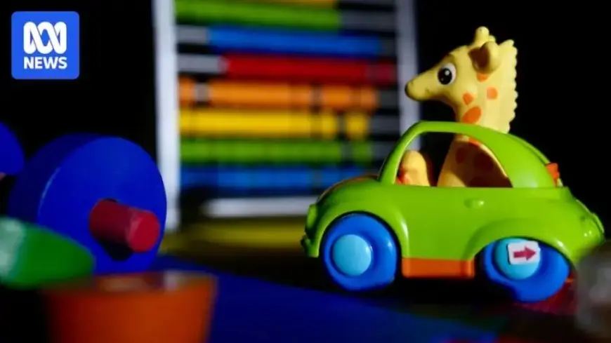 Concerns Arise Over Missing Childcare Records and Issue Scale