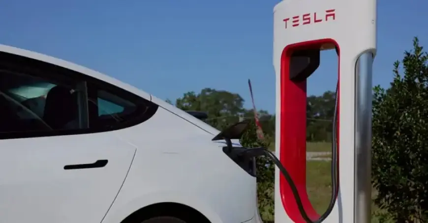 Tesla Profits Drop, Yet Investors Remain Unfazed