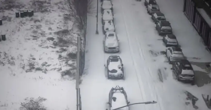 Cold Exposure Suspected in Most N.Y.C. Storm Fatalities