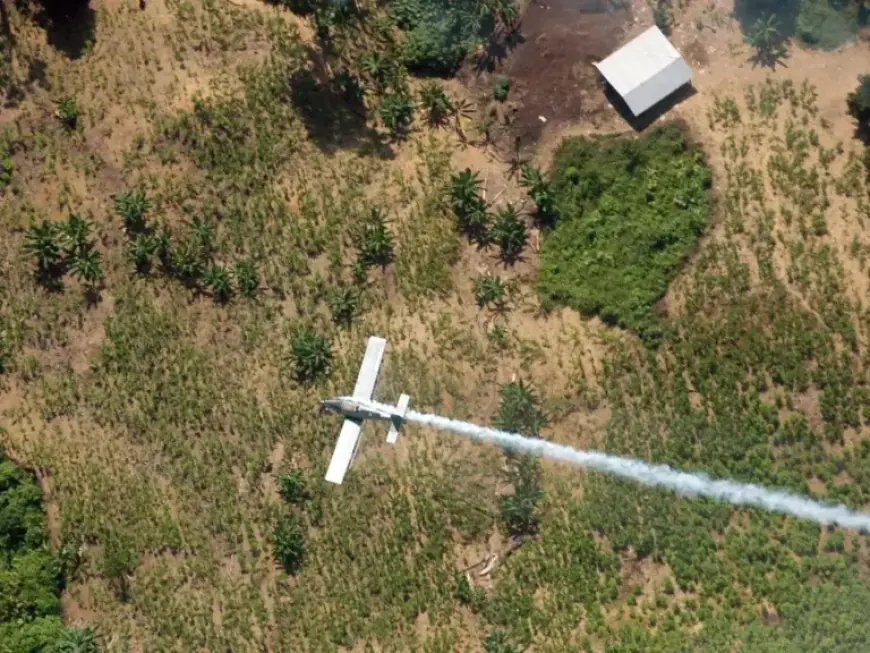 Colombian Lawmaker Among 15 Missing After Plane Vanishes