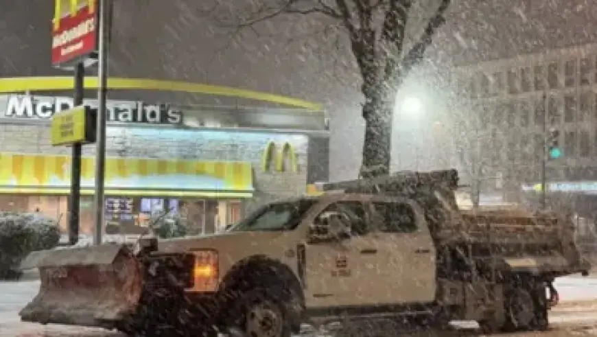 Northeastern Swim and Dive Triumphs Over Stony Brook on Senior Day