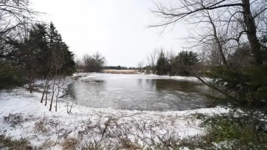 Heartbreaking Tragedy: Texas Mom Fails to Rescue Sons from Icy Pond