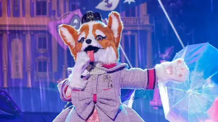 Unexpected Influencer May Be Queen Corgi on The Masked Singer