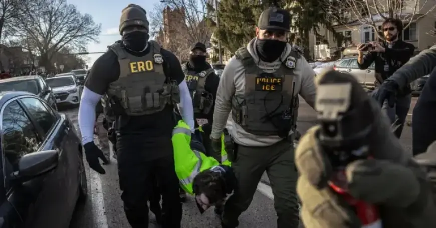 Minnesota Judge Rules ICE Violated Nearly 100 Court Orders