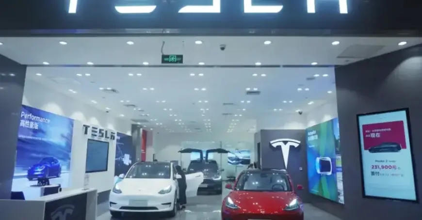 Tesla Faces Second Consecutive Year of Decline