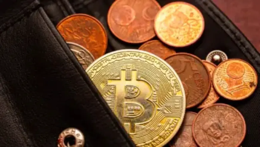 EPA Initiates Rollback on Biden-Era Smog Regulations