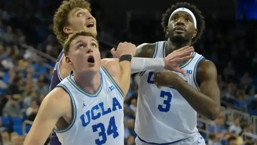 UCLA vs. Oregon: Odds, Expert Picks, and Predictions