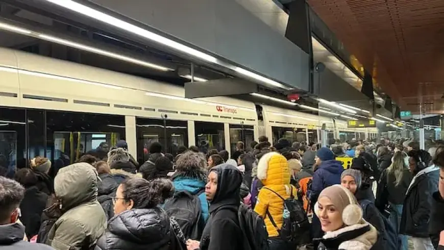 Councillors Demand Compensation for Transit Riders After Recent Disruption