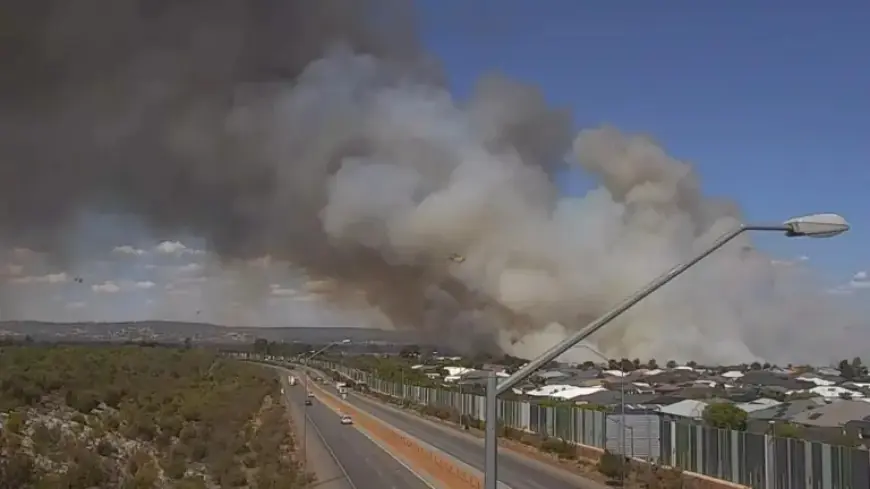 Emergency Evacuation: Ellenbrook Residents Urged to Flee Advancing Bushfire