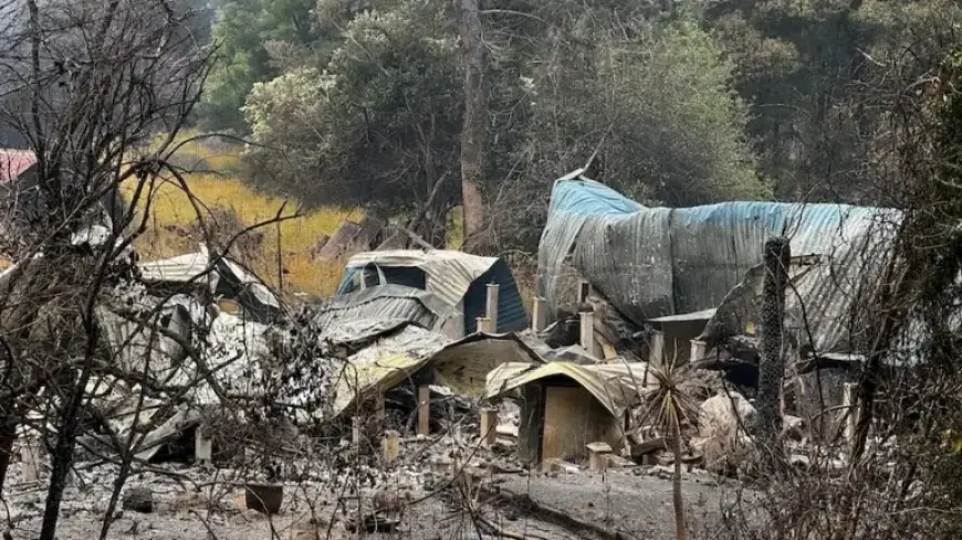 Bushfires Ravage Victorian Farmland