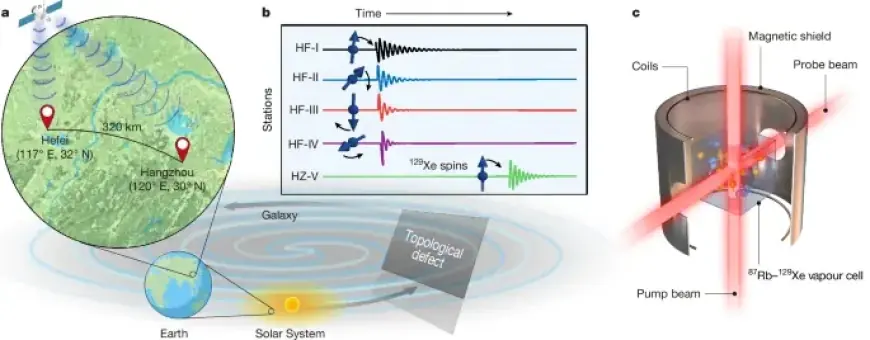 Quantum Sensors Across Cities Constrain Axion Dark Matter