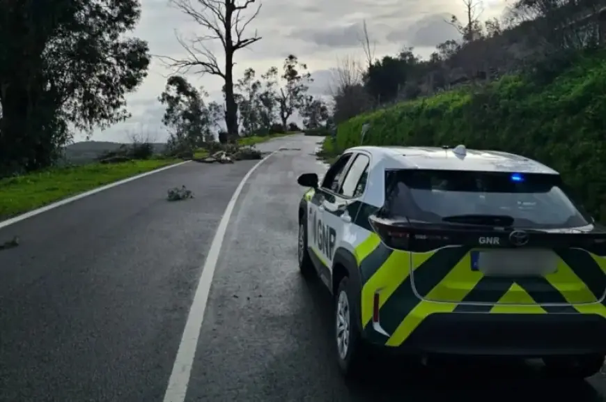 Severe Weather Closes Several Portalegre District Roads