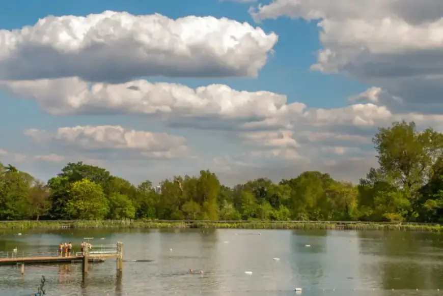 Hampstead Heath Bathing Ponds Consultation Results Released