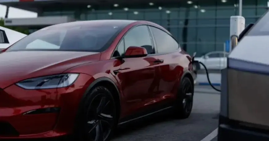 Tesla Records First Annual Revenue Decline Under Elon Musk’s Leadership