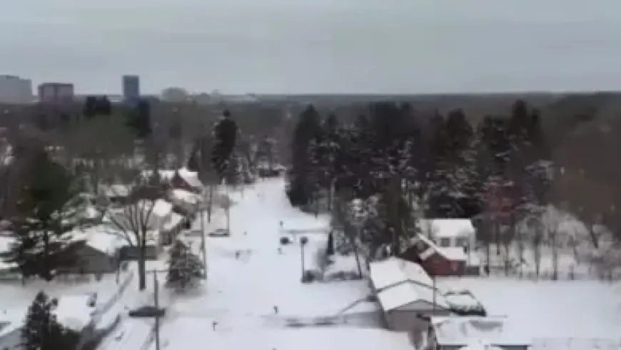 Syrian Actress Huda Al-Shaarawi Found Murdered in Damascus Home