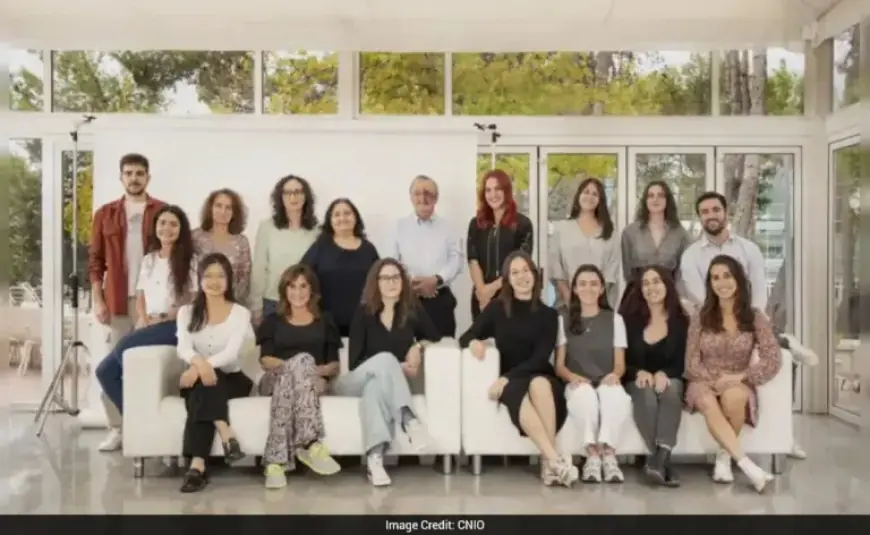 Scientists Achieve Side Effect-Free Pancreatic Cancer Cure in Mice