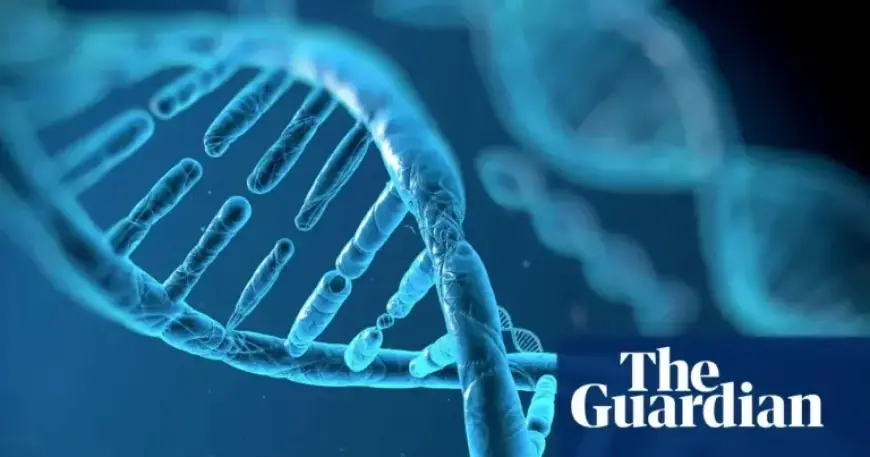 Google DeepMind Unveils AI Tool for Identifying Genetic Disease Drivers