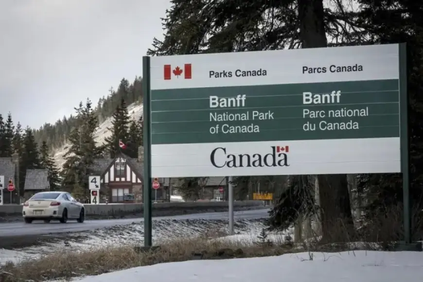 Tunnel Mountain Closure in Banff: Carnivores Prompt Safety Measures