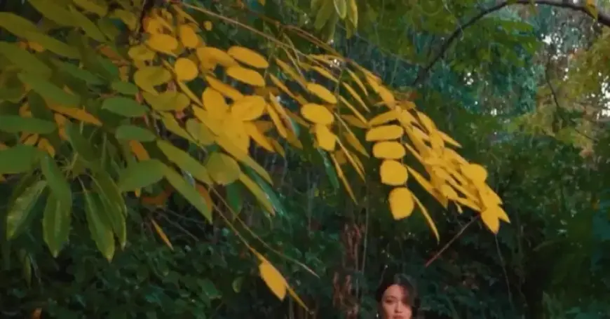 Stars Shine Bright in ‘The Pitt’ Expansion