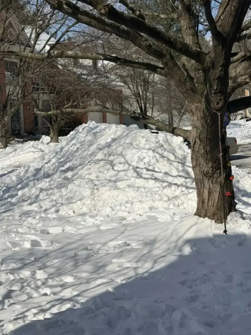 Friday, Jan. 30th: Predicted School Closures and Delays