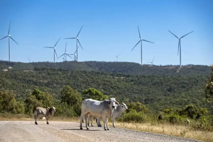Australia’s Main Grid: 100% Renewable Electricity Achievable and Affordable by Year 4