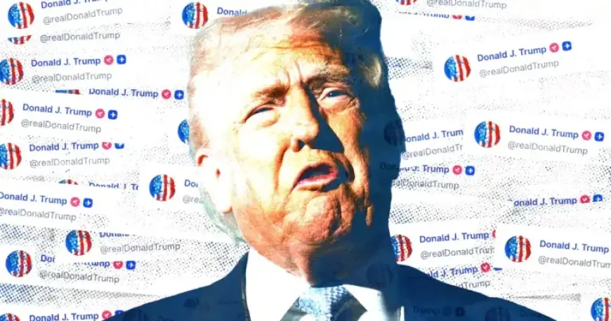 Trump, 79, Launches Furious Conspiracy Posting Spree