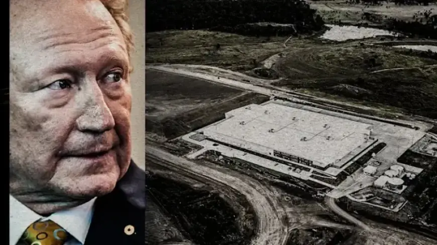 Andrew Forrest’s Green Ventures Cost Taxpayers $80 Million