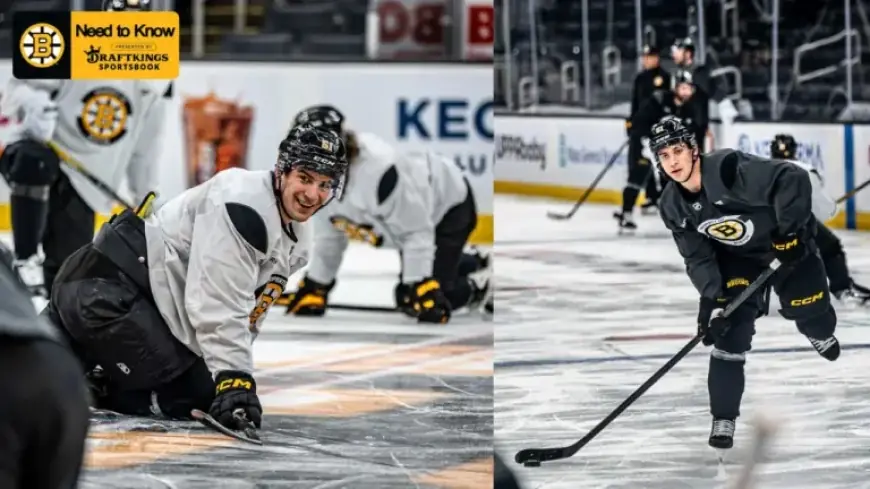 Essential Preview: Bruins Battle Flyers