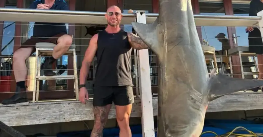 Fishermen Catch 150kg Bull Shark in Sydney Harbour Amid Population Debate