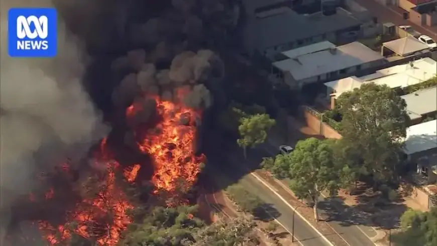 Fast-Moving Bushfire Engulfs Perth Suburban Backyards in Chaotic Scene