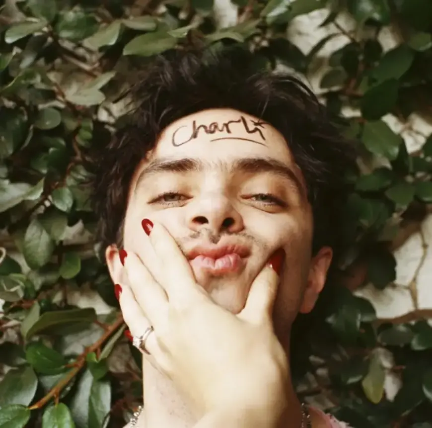 Aidan Zamiri Captivates Audiences Worldwide