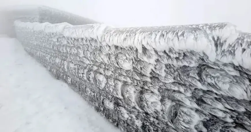 17 Brave Explorers Tackle Wind-Chiselled Ice in Subzero Frozen World Daily