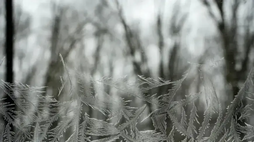 Akron Public Schools: Status Update for Thursday, January 29