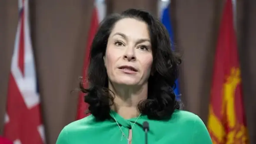 NDP MP Urges Sanctions on Canadian Firms Tied to ICE Deals